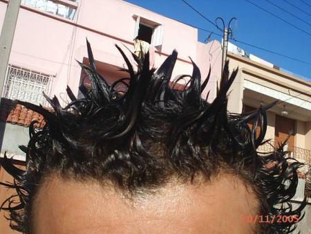 ayoub